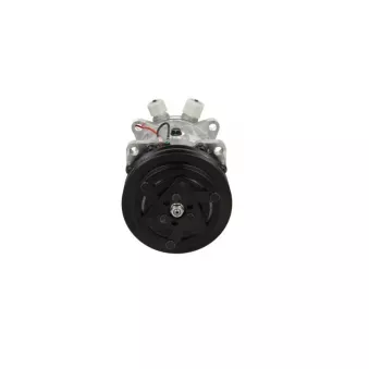 Compresseur, climatisation BV PSH 090.805.001.907