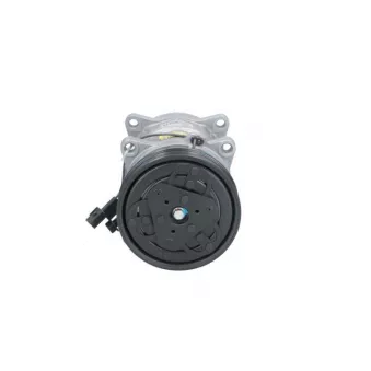Compresseur, climatisation BV PSH 090.815.006.000