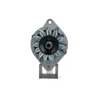 Alternateur BV PSH 105.010.055.010