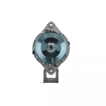 Alternateur BV PSH 135.008.065.311