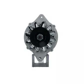 Alternateur BV PSH 135.814.070.080