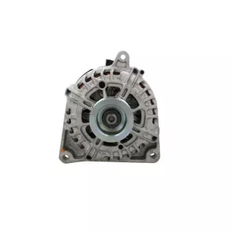 Alternateur BV PSH 135.965.170.500