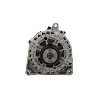 Alternateur BV PSH 135.967.130.500