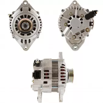 Alternateur BV PSH 145.576.080.080