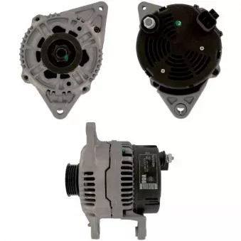 Alternateur BV PSH 155.519.080.010