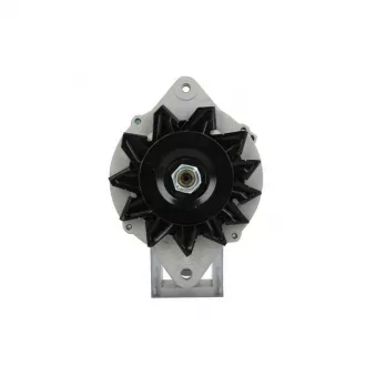Alternateur BV PSH 165.814.070.080