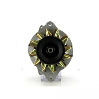 Alternateur BV PSH 165.817.070.265