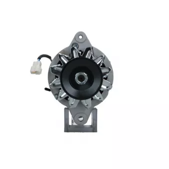 Alternateur BV PSH 165.830.055.000