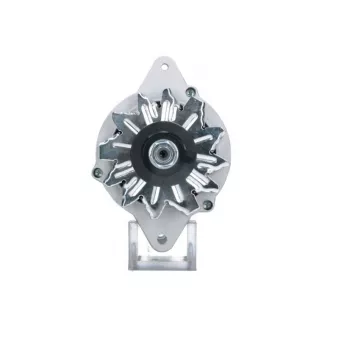 Alternateur BV PSH 195.006.055.200