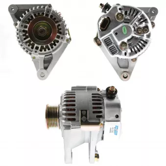 Alternateur BV PSH 195.344.080.050