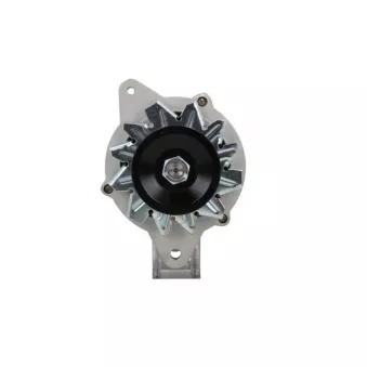 Alternateur BV PSH 196.002.015.510