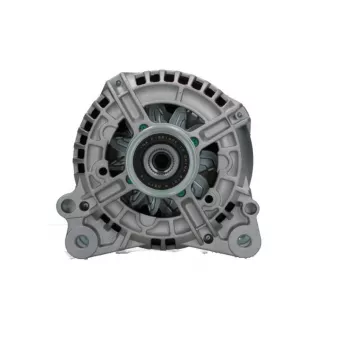 Alternateur BV PSH 205.519.140.010