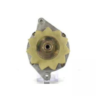 Alternateur BV PSH 225.004.040.505