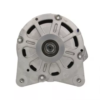 Alternateur BV PSH 305.414.190.270
