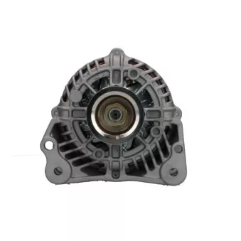 Alternateur BV PSH 305.502.070.350