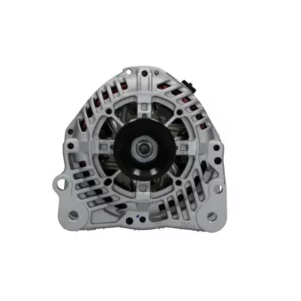Alternateur BV PSH 305.502.090.500