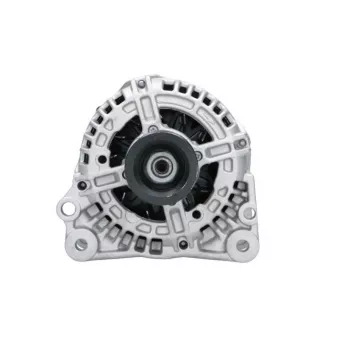 Alternateur BV PSH 305.513.090.341