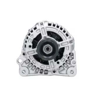 Alternateur BV PSH 305.513.090.346