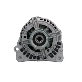 Alternateur BV PSH 305.518.070.019
