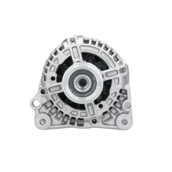 Alternateur BV PSH 305.518.090.341