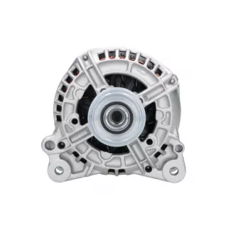 Alternateur BV PSH 305.518.120.346