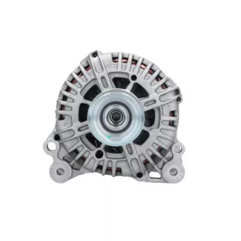 Alternateur BV PSH 305.518.140.347