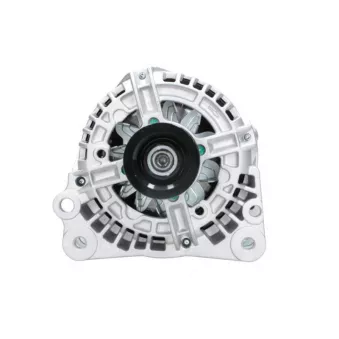 Alternateur BV PSH 305.519.110.010