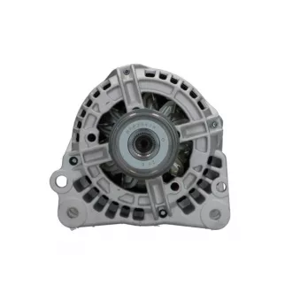 Alternateur BV PSH 305.525.090.018