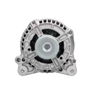 Alternateur BV PSH 305.525.120.215