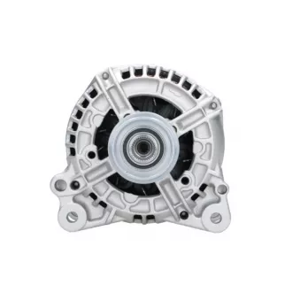 Alternateur BV PSH 305.525.120.346