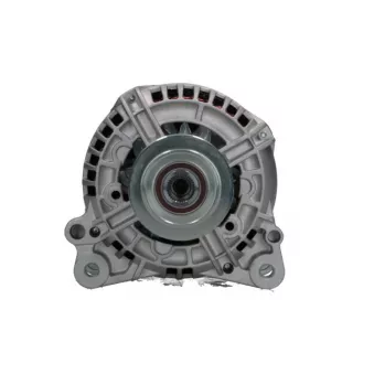 Alternateur BV PSH 305.534.120.010