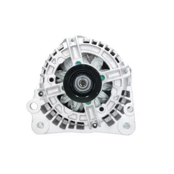 Alternateur BV PSH 305.538.110.010