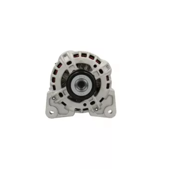 Alternateur BV PSH 305.539.110.212