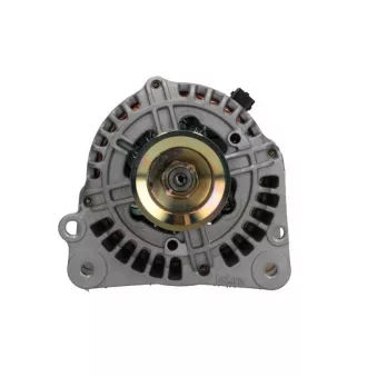 Alternateur BV PSH 305.550.070.311