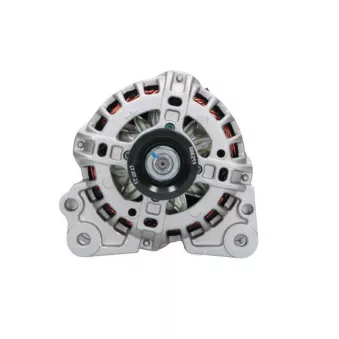Alternateur BV PSH 305.560.090.280