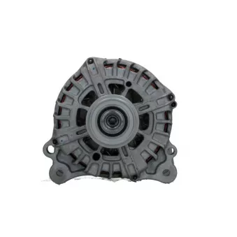 Alternateur BV PSH 305.566.220.500
