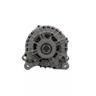 Alternateur BV PSH 305.570.180.501
