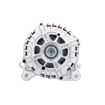 Alternateur BV PSH 305.572.140.340