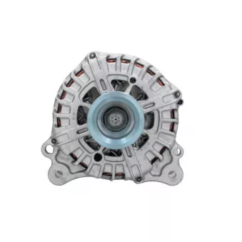 Alternateur BV PSH 305.575.220.500