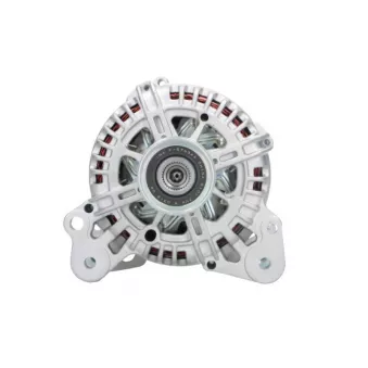 Alternateur BV PSH 305.579.110.000