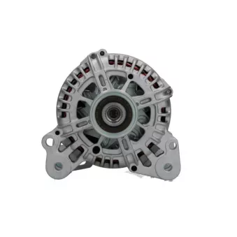 Alternateur BV PSH 305.591.110.000