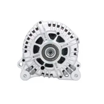 Alternateur BV PSH 305.594.140.340