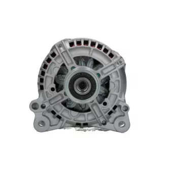 Alternateur BV PSH 305.598.140.010