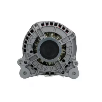 Alternateur BV PSH 305.599.140.018