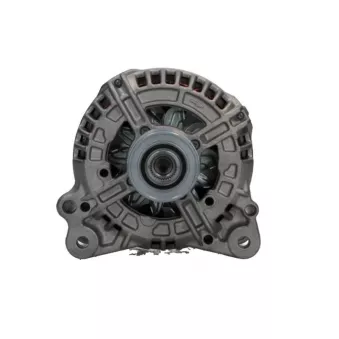 Alternateur BV PSH 305.907.140.280