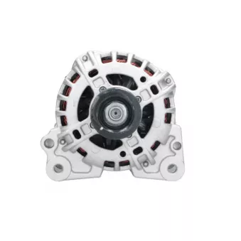 Alternateur BV PSH 305.931.110.346