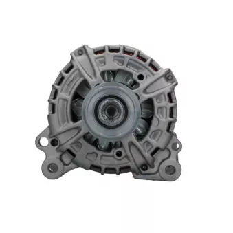 Alternateur BV PSH 305.940.140.281