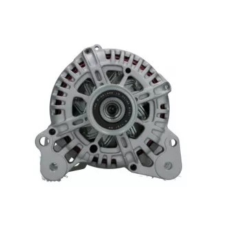 Alternateur BV PSH 305.943.110.000