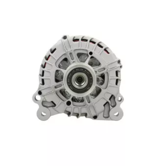 Alternateur BV PSH 305.944.140.000