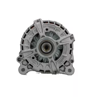 Alternateur BV PSH 305.961.250.280